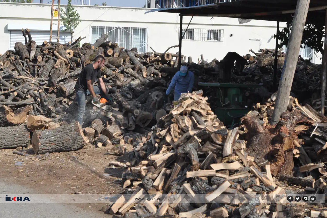 Welatî dest bi stendina êzingan kirin