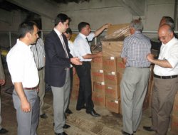 Çiftçilere 250 bin çilek fidesi dağıtıldı