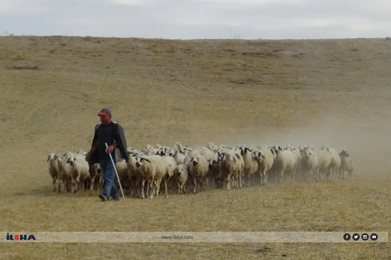 Vegera şivanan a ji zozanan dest pê kir