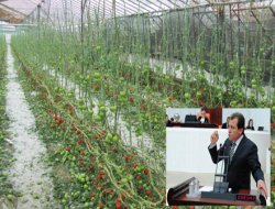 Mersin'de yaşanan dolu afeti Meclise taşındı