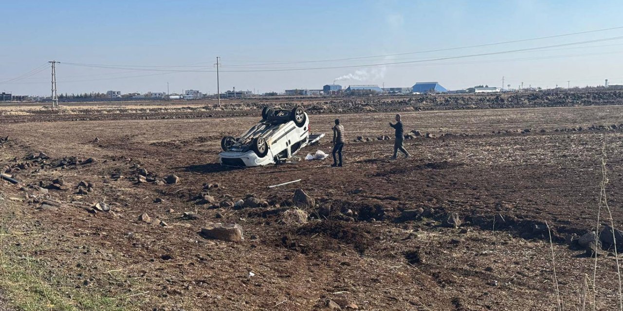 Li Amedê otomobîl firiya nava zeviyê