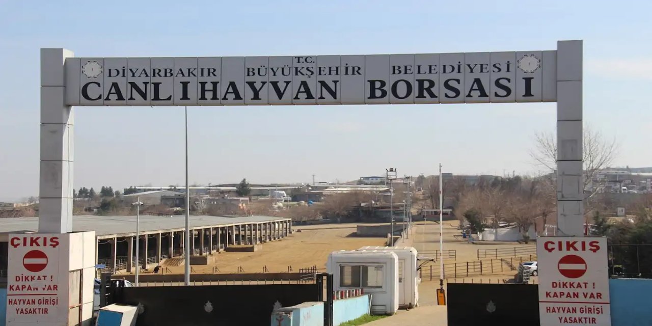 Diyarbakır hayvan borsasında çıkan kavga şehre taşındı: 1 yaralı