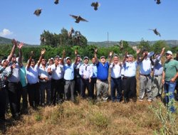 Tarsus'ta 400 adet kınalı keklik doğaya salındı