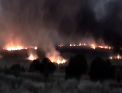 Esed güçleri köylülerin tarlalarını ateşe verdi