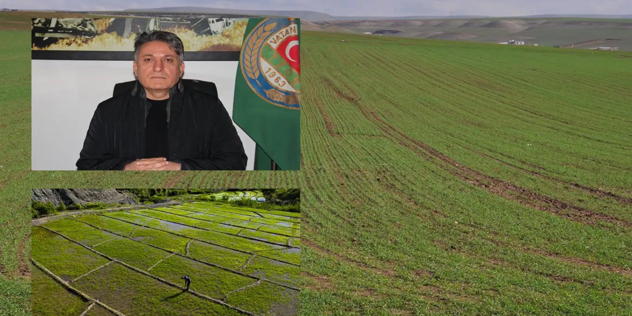 Yağışlar tarımsal üretime can suyu oldu, ancak tehlike hâlâ devam ediyor!