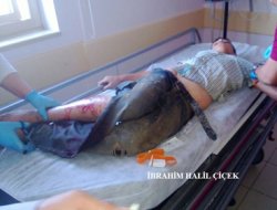 Küçük çobanlara kurşun isabet etti: İki yaralı