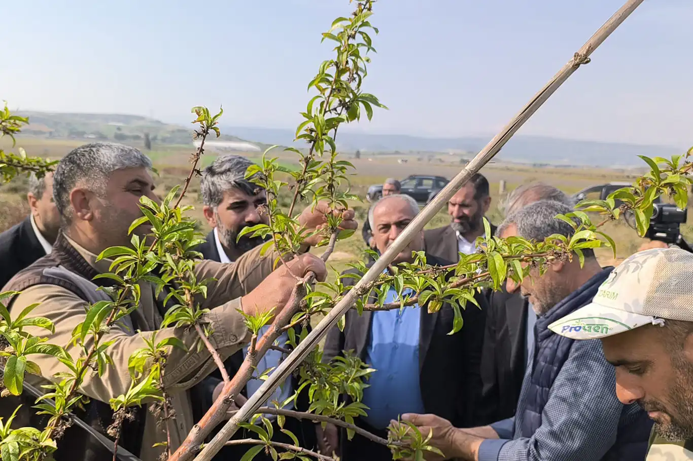 HÜDA PAR Mersin Milletvekili Faruk Dinç: Mersin'de dondan etkilenen çiftçiler destek bekliyor