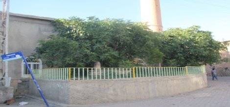 BDP'li belediye camilerden ne istiyor?