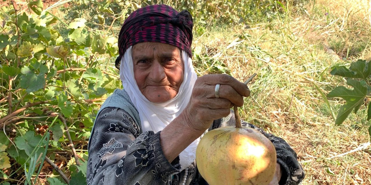 Bozçalı (Selmanê) Köyünden Hacı FATÊ DATUMANİ vefat etmiştir
