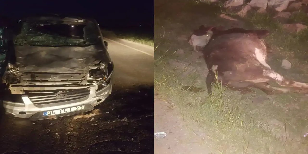 Li Çinarê wesayît li çêlekan xist: 1 birîndar