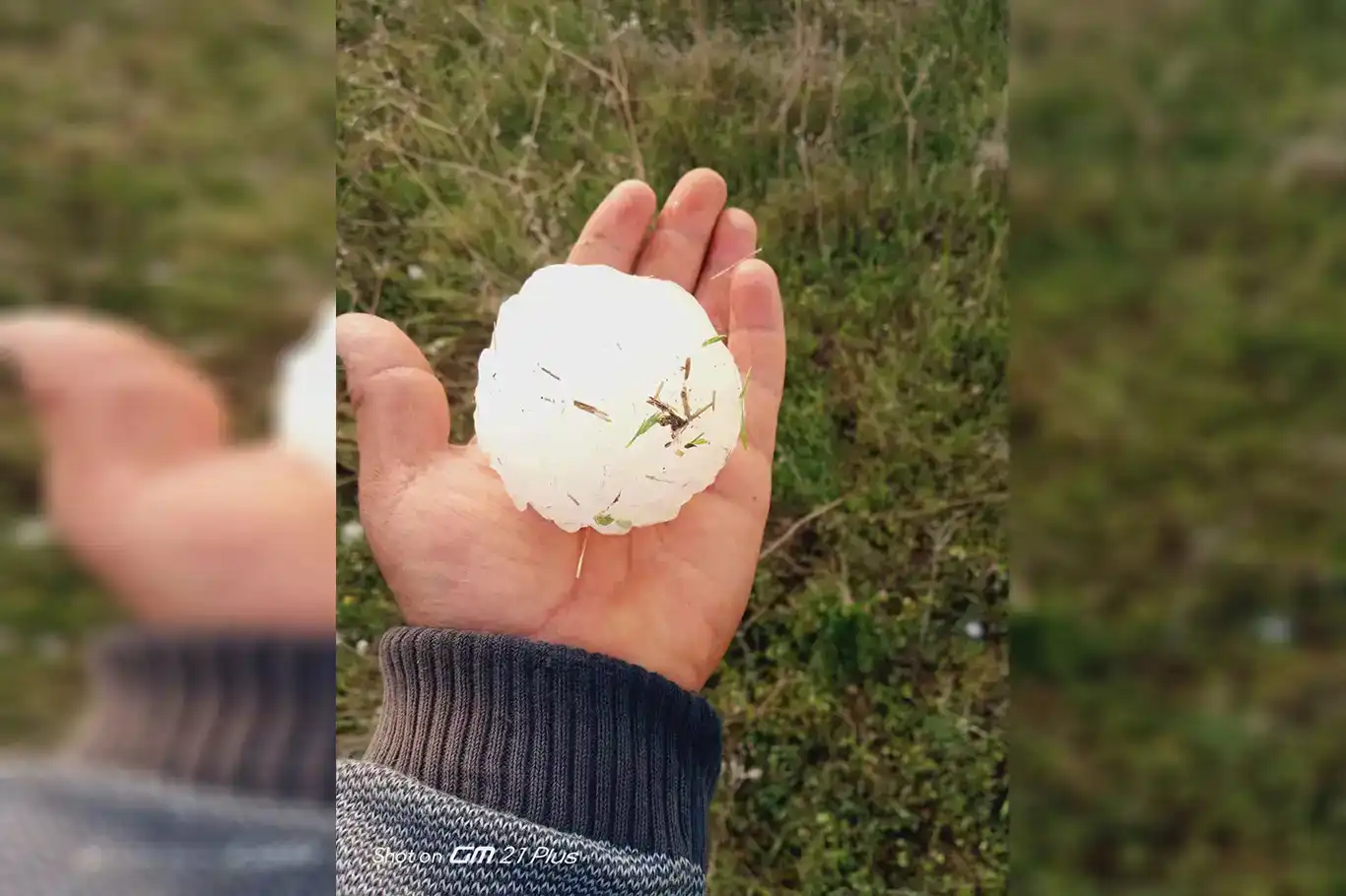 Li Rihayê zîpikên qasê topê berfê barîyan