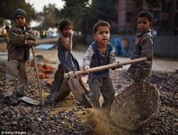 Rapora ILOyê a Li Ser Karkertiya Zarokan