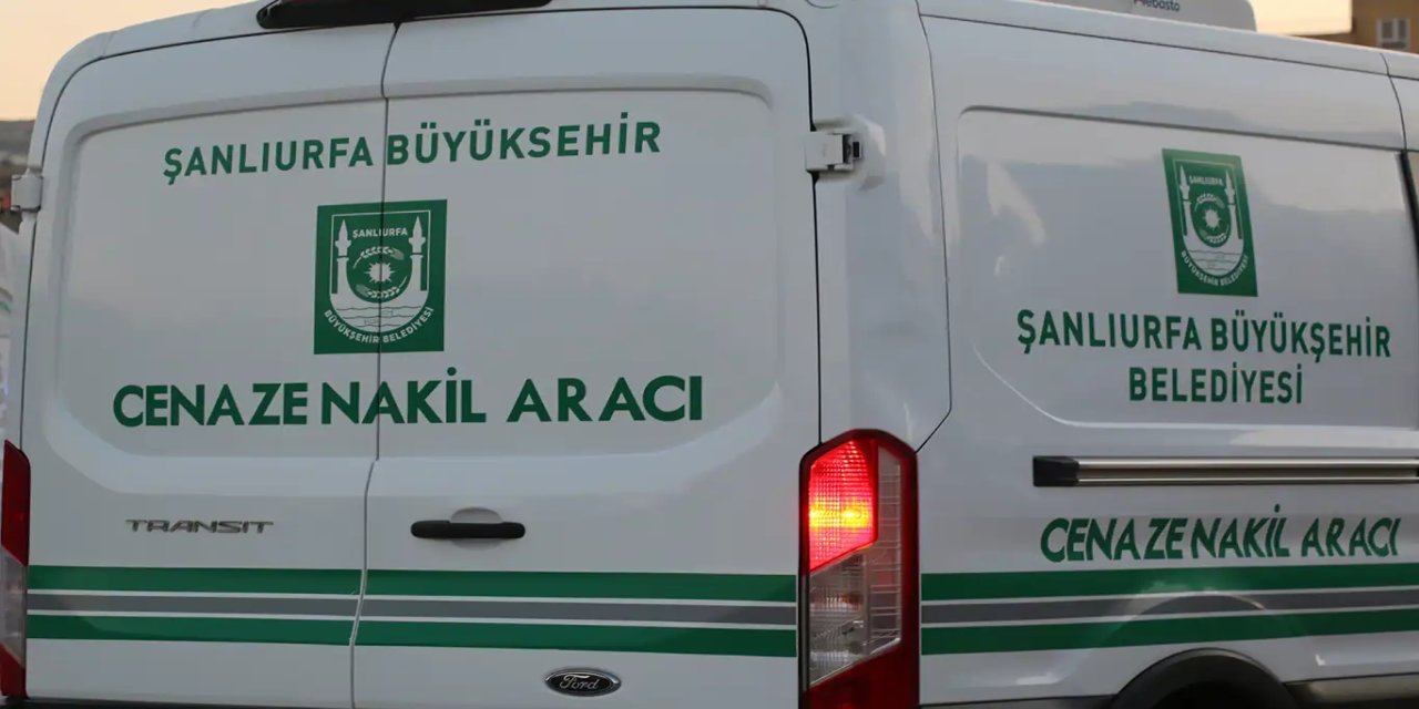 Ceylanpınar’da otomobilin çarptığı  çoban hayatını kaybetti