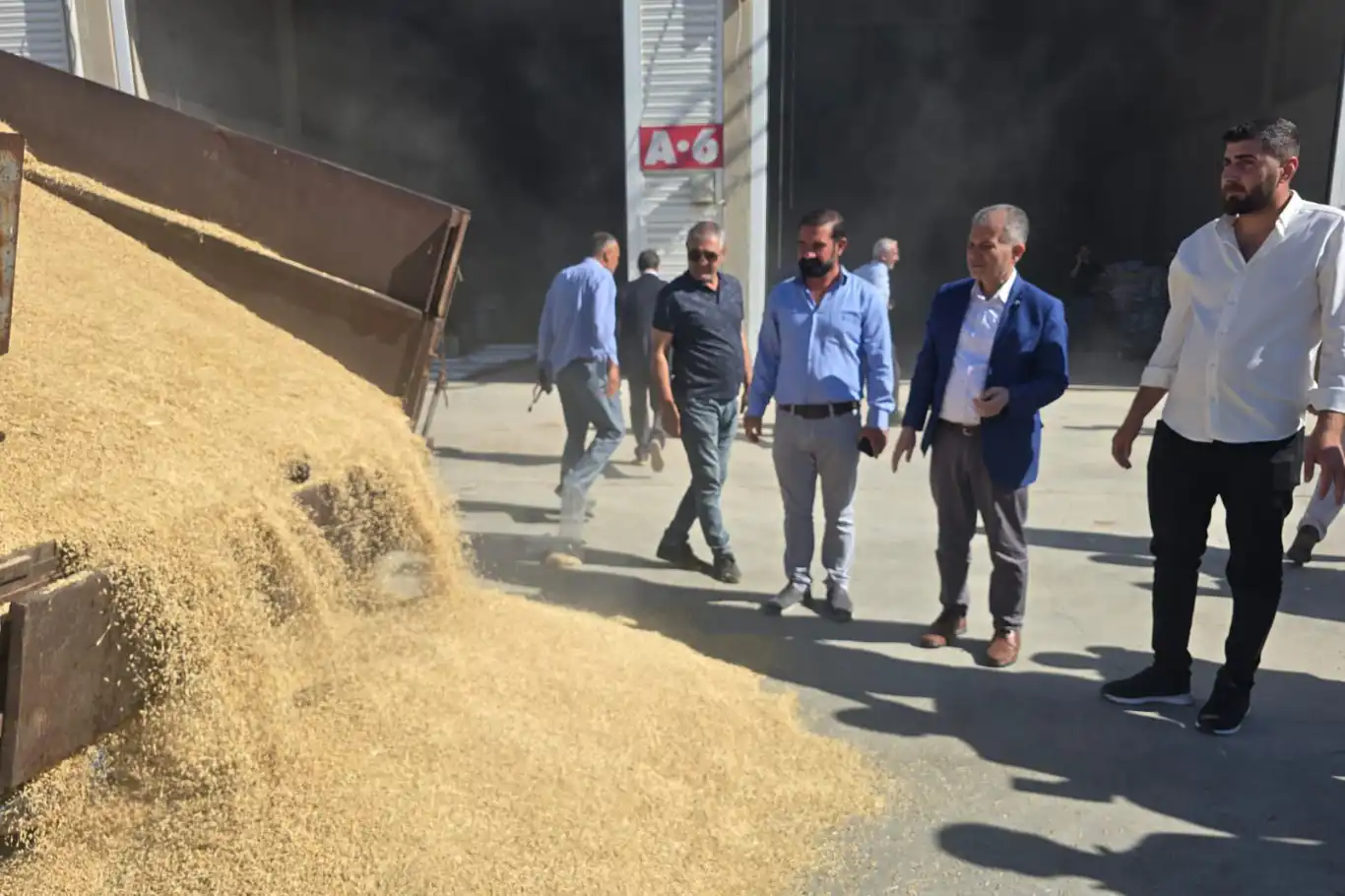 Mardin Kızıltepe Ovası’nda yılın ilk arpa hasadı yapıldı