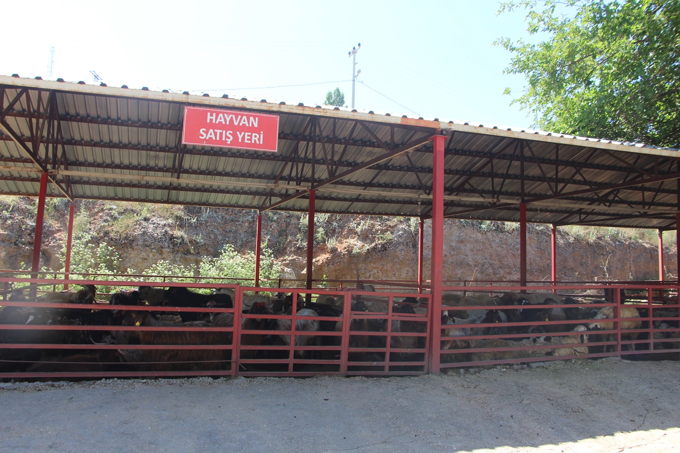 Kurban pazarlarında talep azaldı
