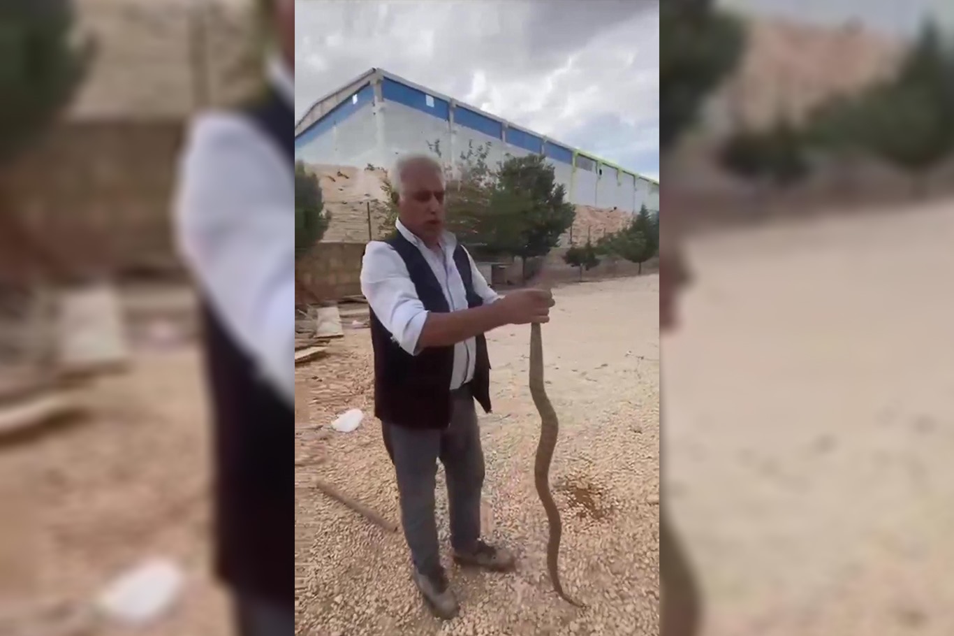 Tavuklarını yiyen yılanı yakalayıp sosyal medyada paylaştı