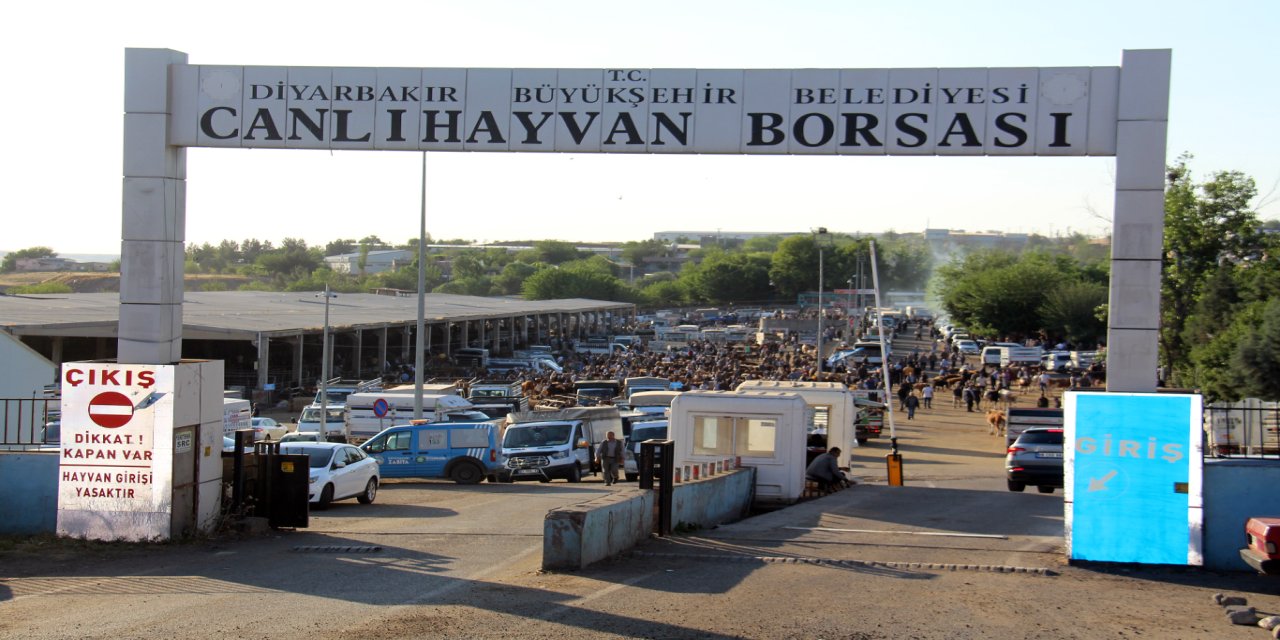 Diyarbakırlı besiciler: Kurbanlıklarda bu yıl fiyat aynı ama talep yok