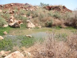 Köylerin halini gören yok mu?