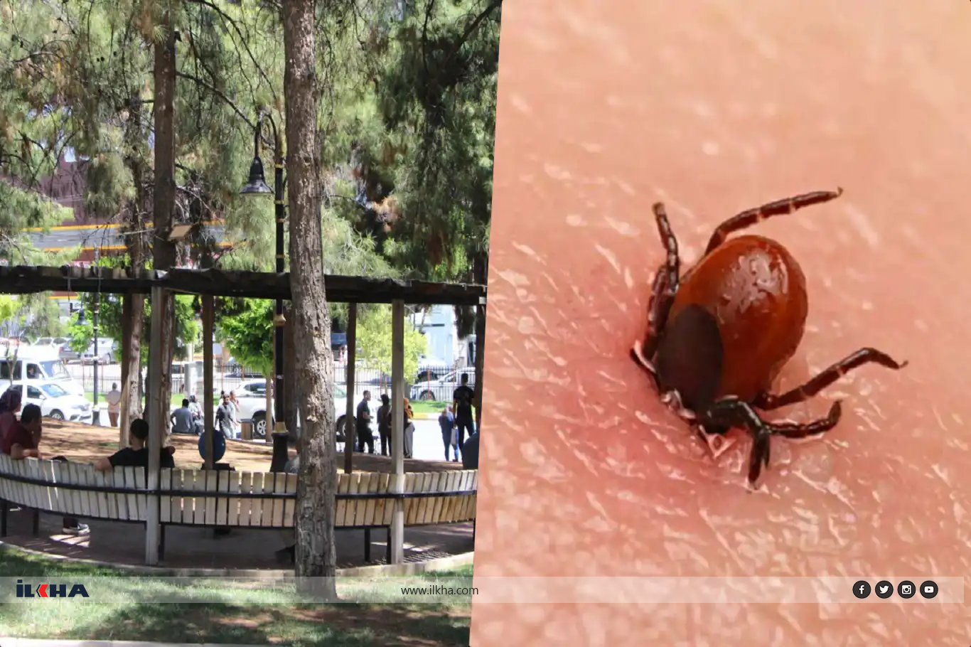 Kırım Kongo Kanamalı Ateşi’ne karşı dikkat edilmesi gerekenler?