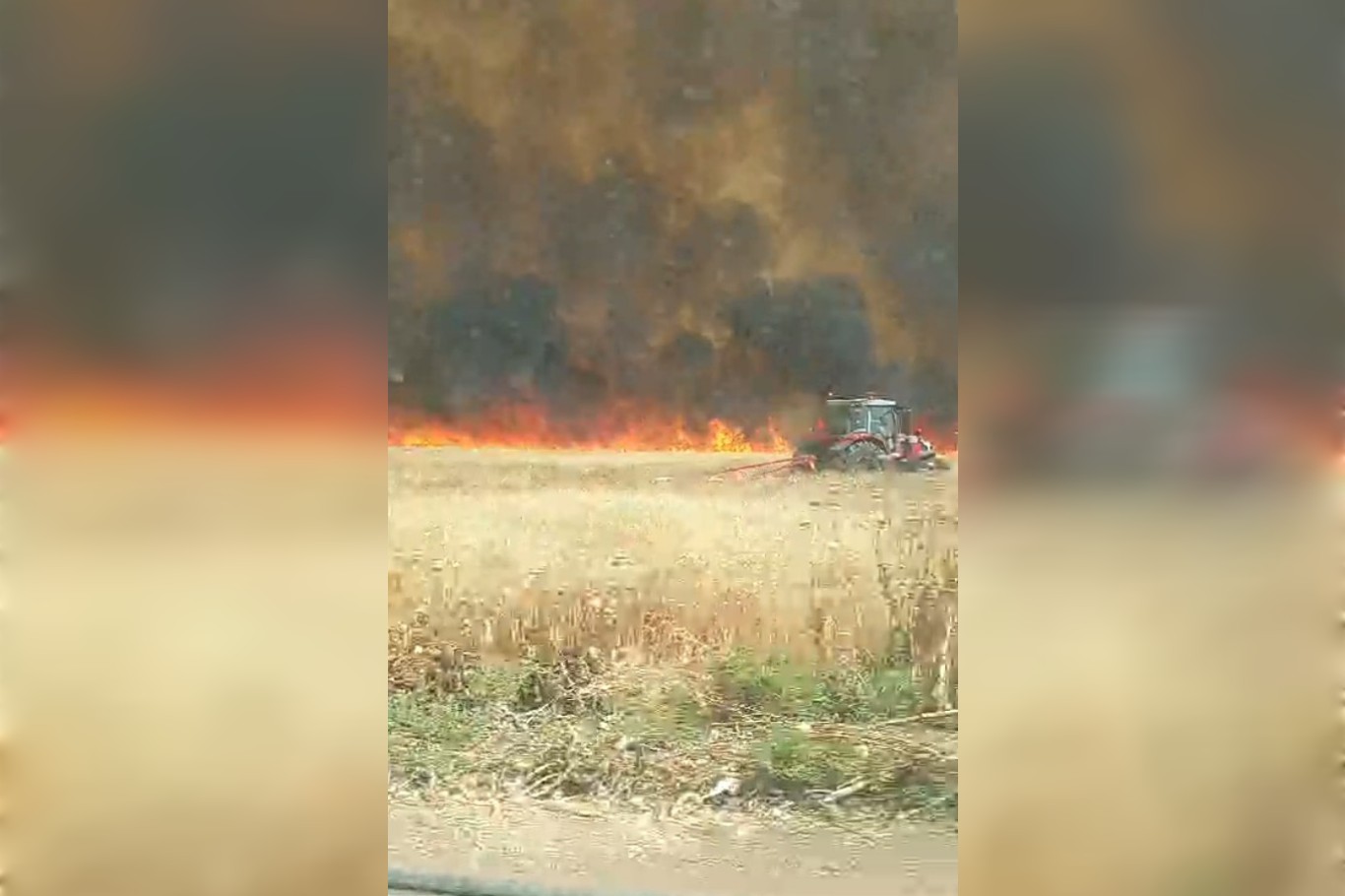 Mardin’in Derik ilçesinde yaklaşık bin dönüm ekili buğday yandı