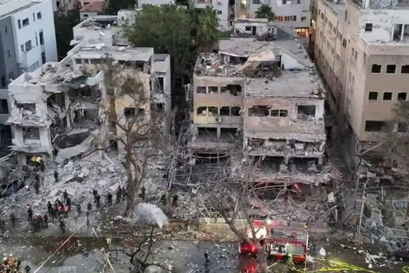 Li rejima sîyonîst 24 avahî bûn wek xwelîyê