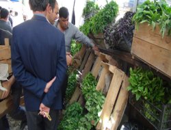 Sebze tohumları rağbet görüyor