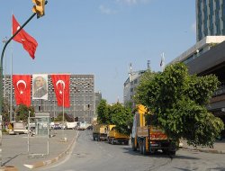 Taksim'de ağaçlandırma çalışmaları başladı