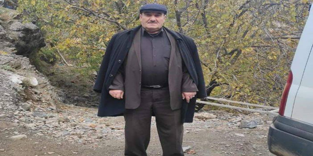 Batman’ın Sason ilçesinde ceviz silkelemek için çıktığı ağaçtan düşen adam hayatını kaybetti