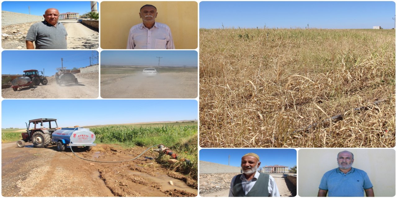 Gundê Qerhêta yê Çinarê bi salan e bi kêmbûna av û elektrîkê re rû bi rû ye