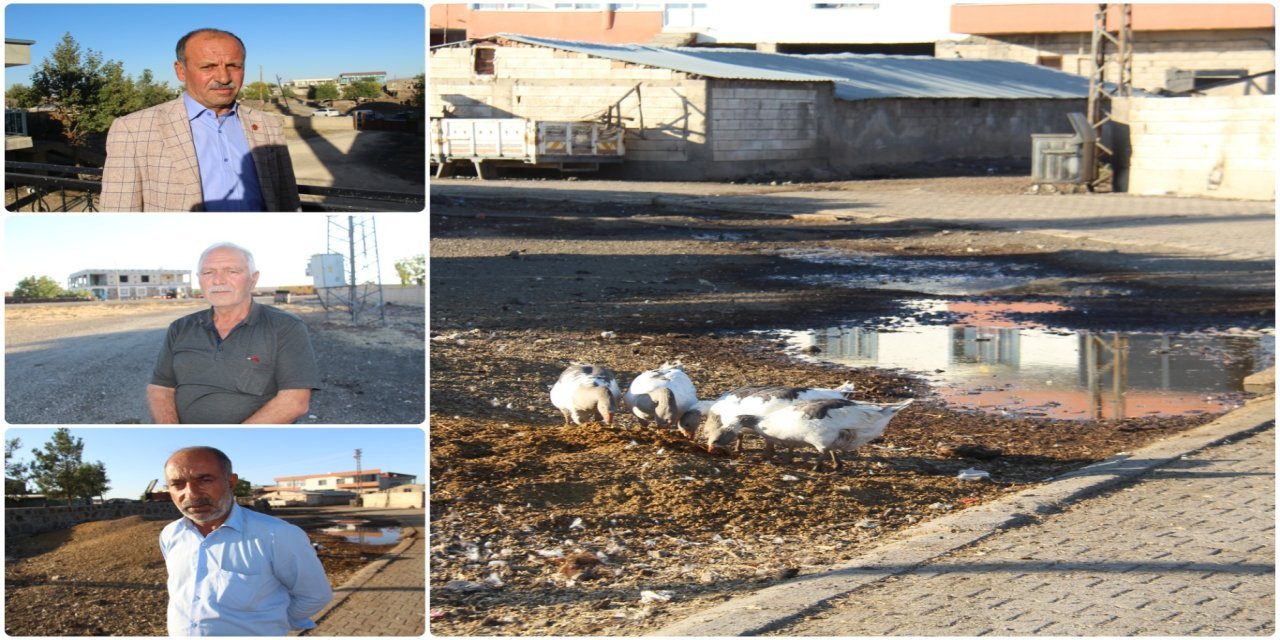 Şaredarî li Gundê Qubikê muamela dezavantaj dike