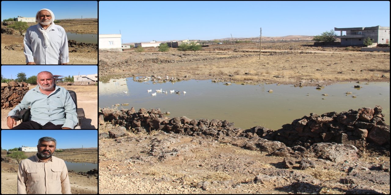 Pembeviran (Qurm) Mahallesi sakinleri: En öncelikli sorunumuz yol ve kanalizasyon