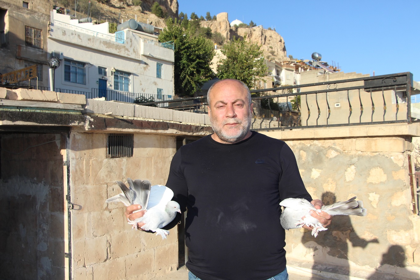Kadim Kentin Kadim Mirası: Mardin güvercini