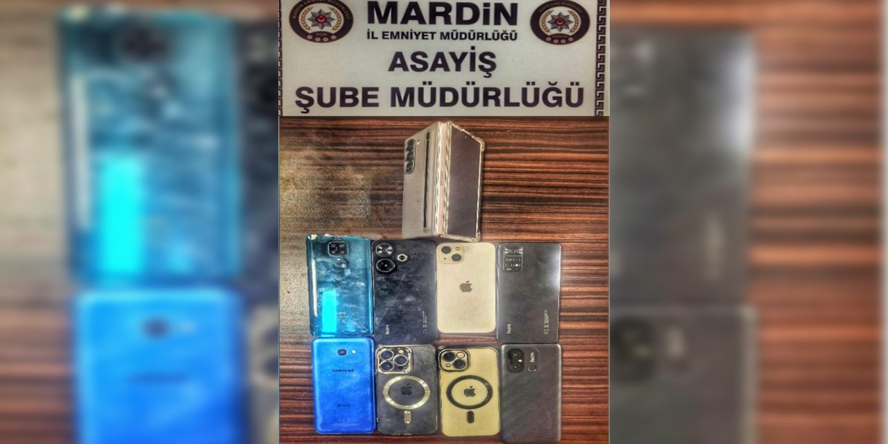 ​​​​​​​Mardin'de hırsızlık ve yankesicilik olaylarına karışan 4 şahıs suçüstü yakalandı