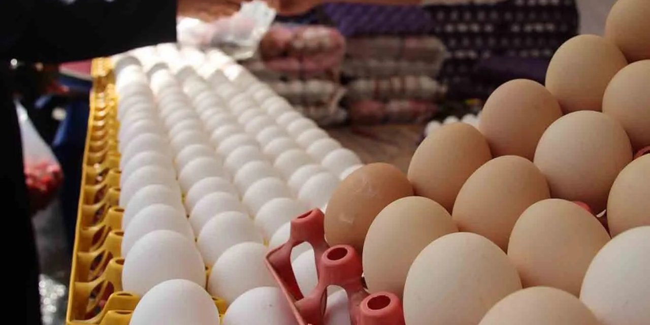Diyarbakır'da yumurta fiyattaki istikrarını koruyor