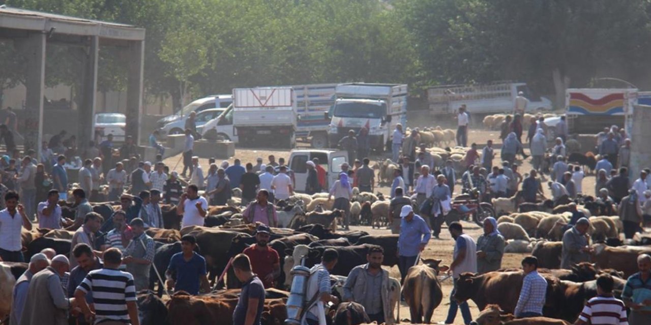 Bazara heywanan a Diyarbekirê hat vekirin