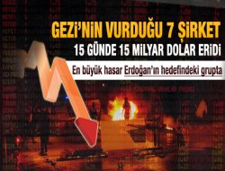 Gezi protestoları borsada 7 grubu vurdu