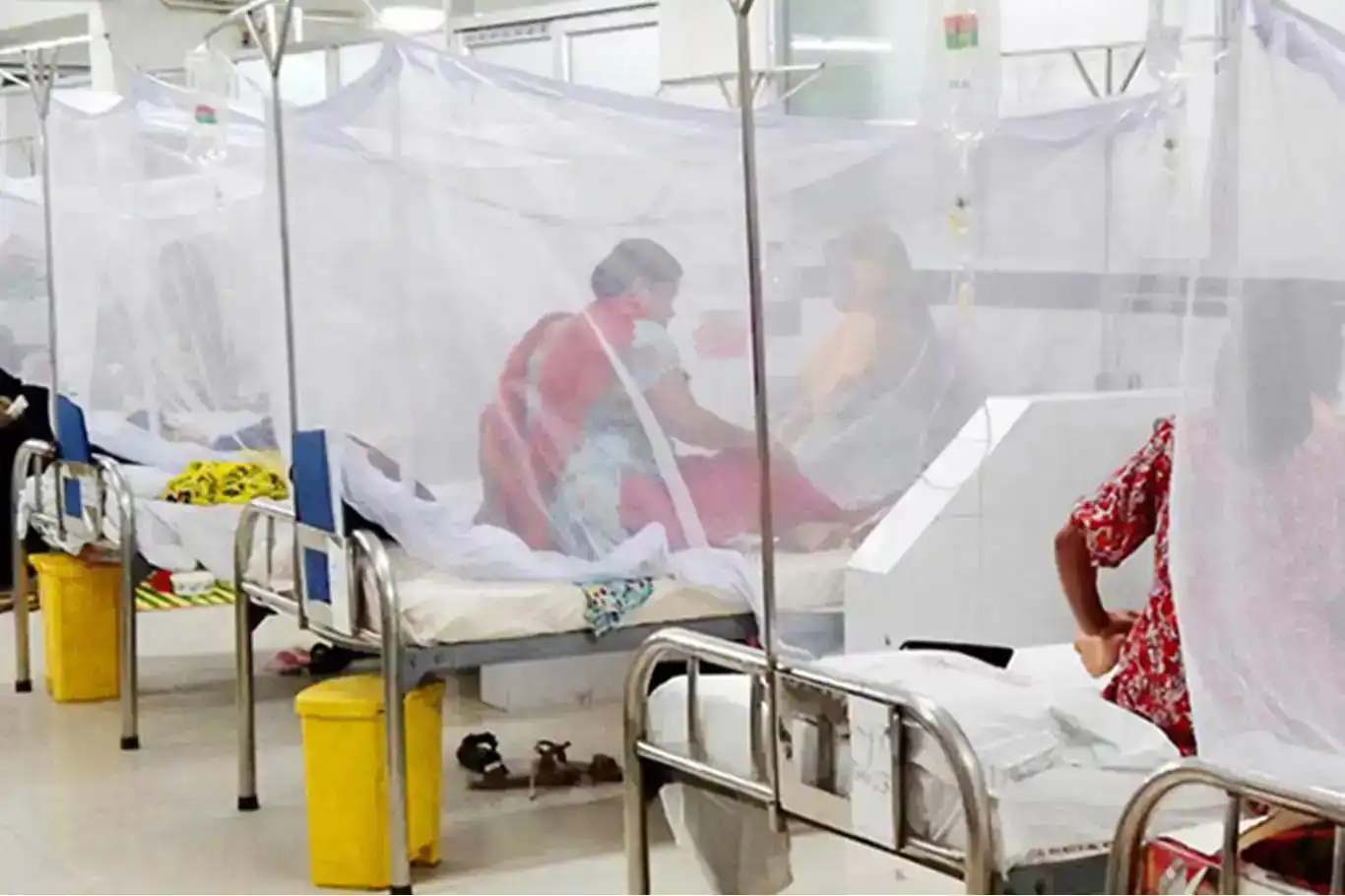 Hejmara kesên ku ji ber nexweşiya Taya Dangê mirine 400î derbas kir