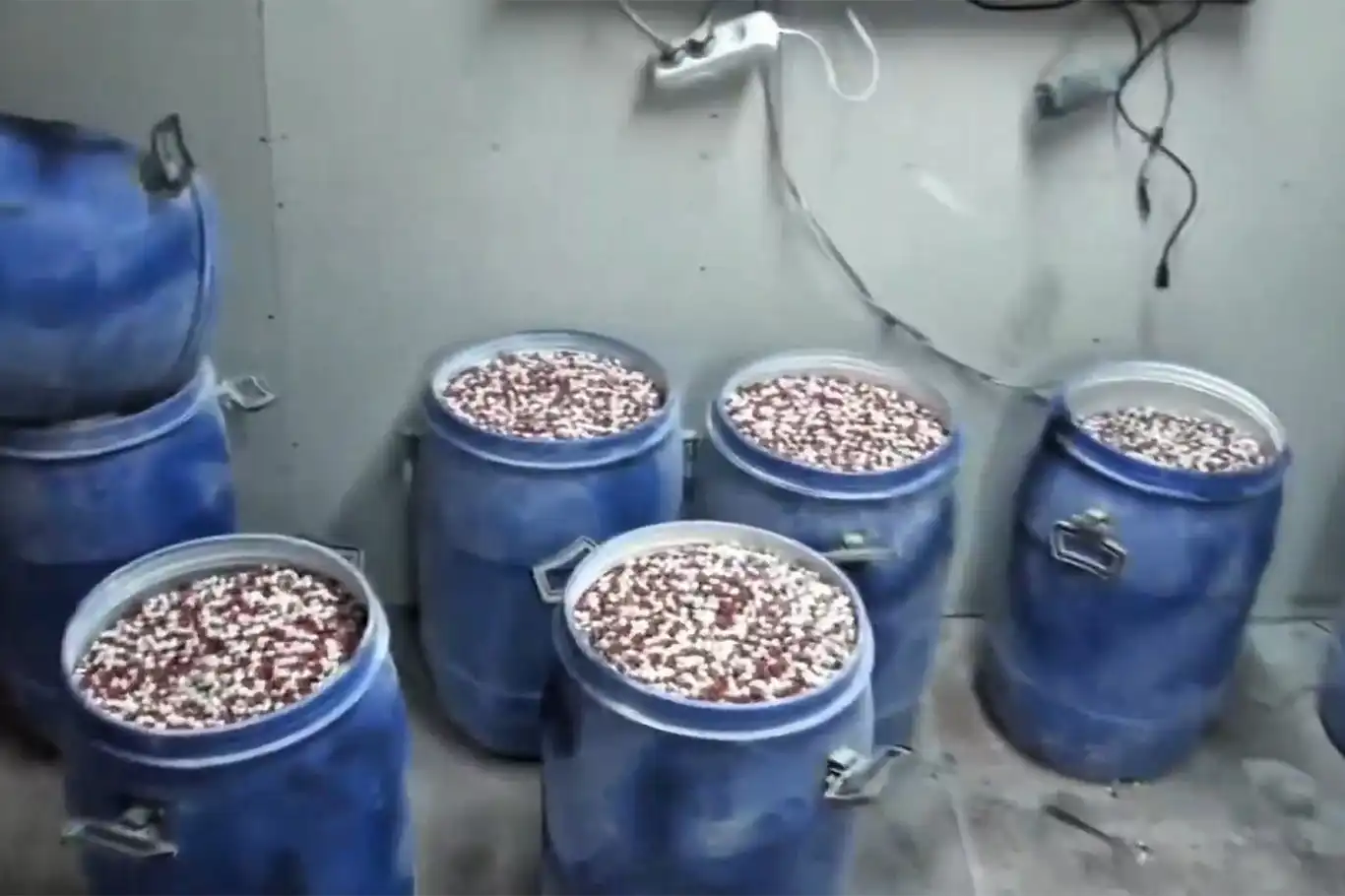 Li Stenbol û Îzmîrê operasyonên tiryakê: Bi milyonan heb hatin desteserkirin