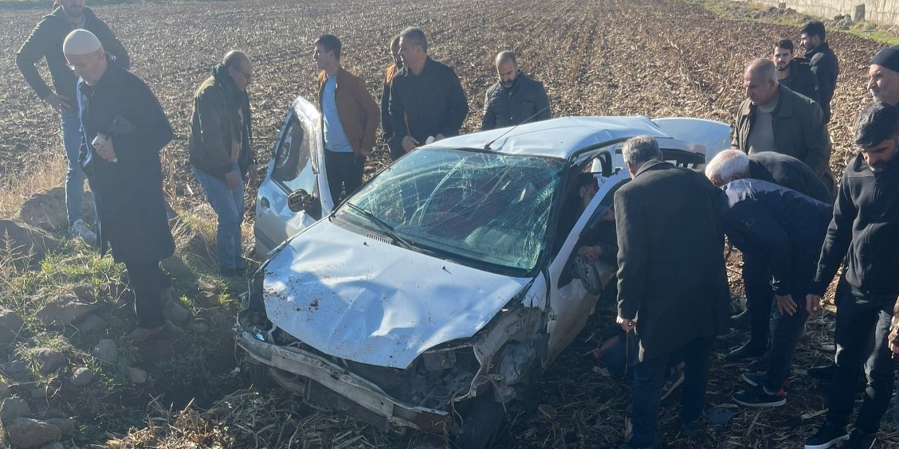 Li Çinarê kûçikek li ser rê bazda û bû sedema qezayekê