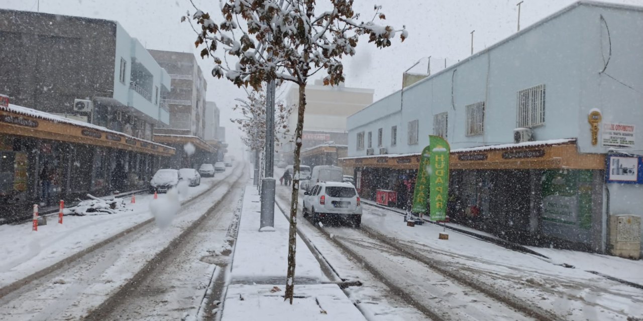 Dibistanên li Çinarê hat tatil kirin