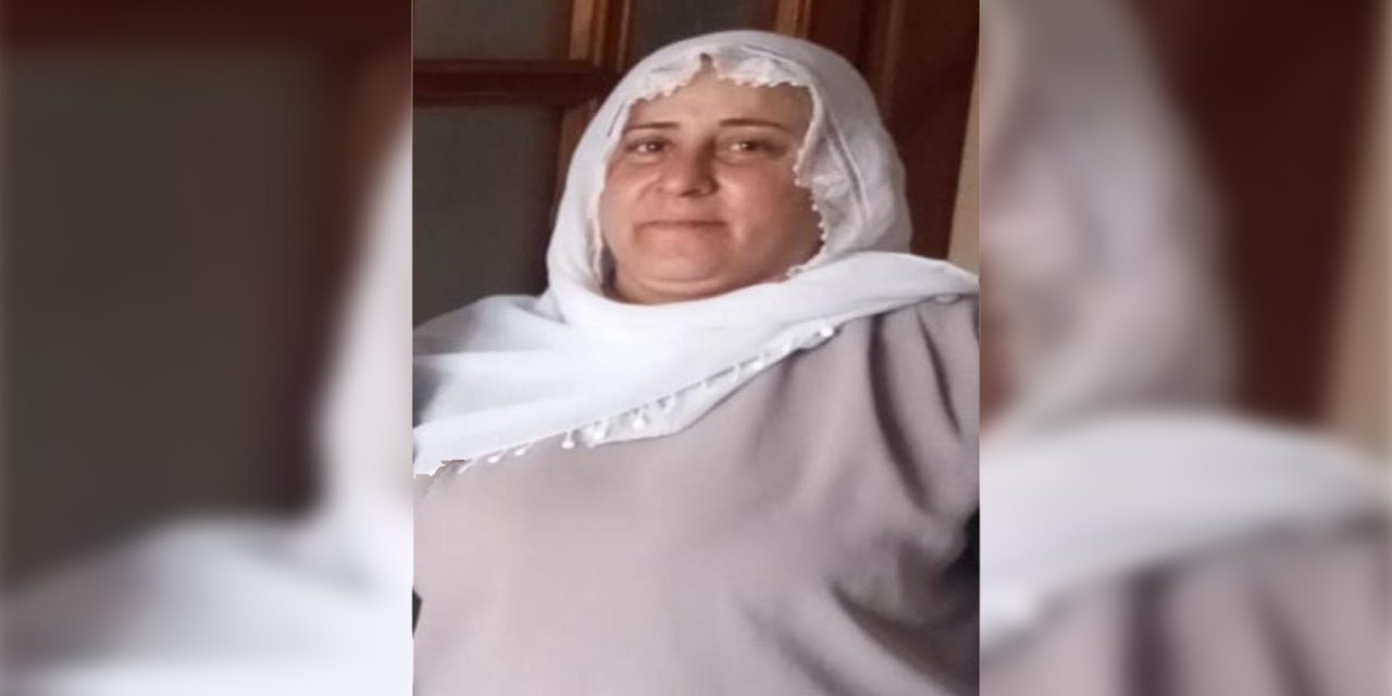 Li Çinarê jineke ku pirsgirêkên wê yên psîkolojîk hene windayê