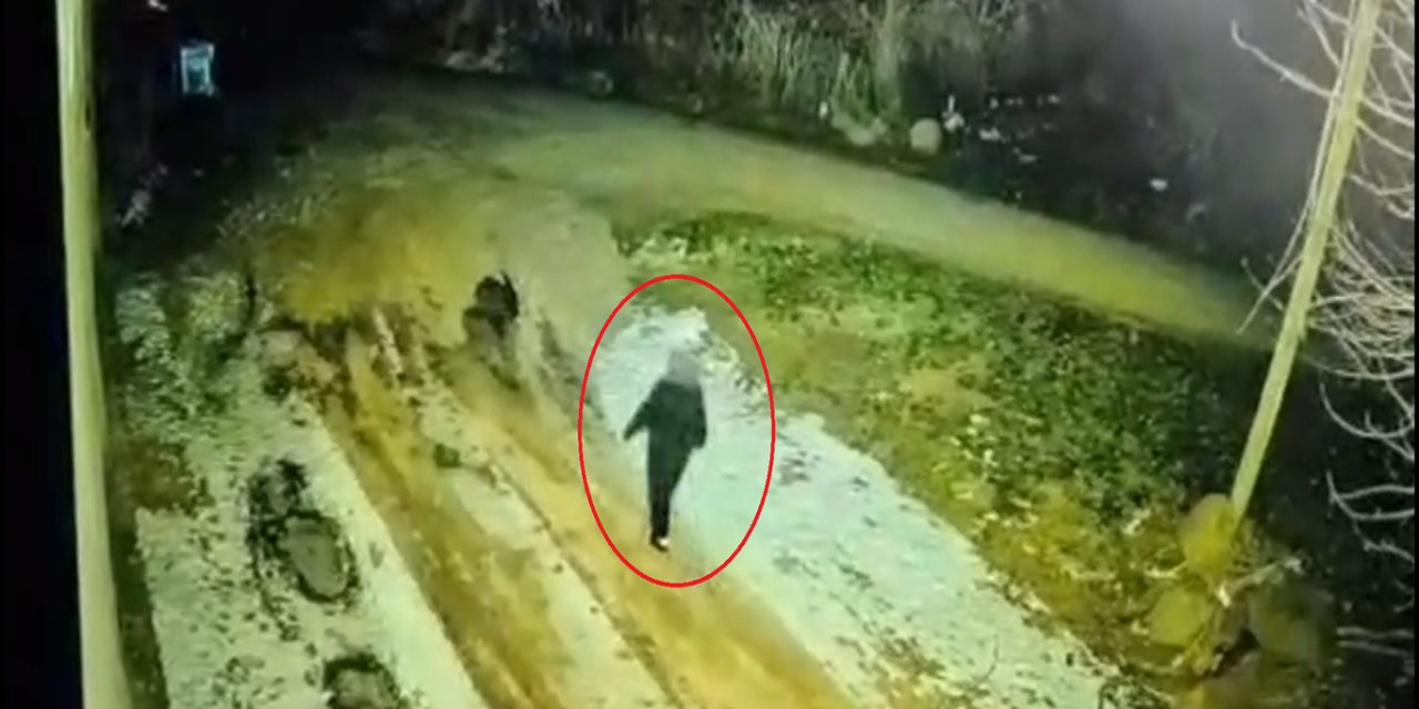 Dîmenên dawî yên jina winda ya li Çinarê derketin holê