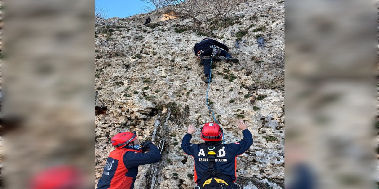 Mardin’in Midyat ilçesinde dağda mahsur kalan keçi kurtarıldı