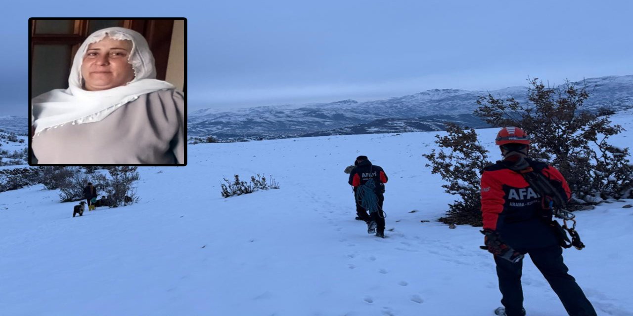 Çınar'da kaybolan kadını arama çalışmaları 3'üncü gününde