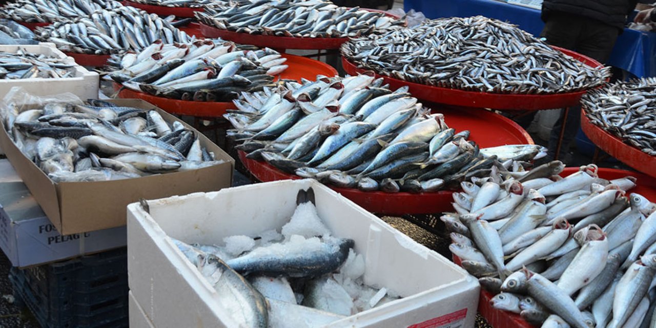 Diyarbakır'da soğuk hava balık tezgahlarına da vurdu