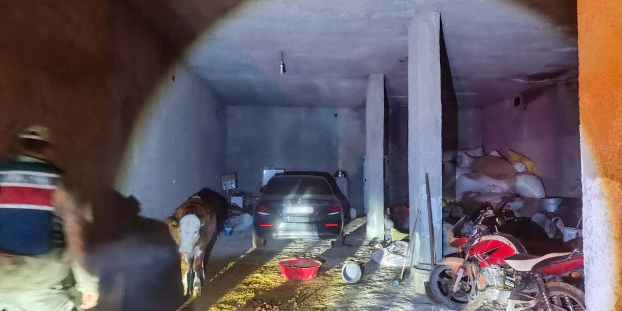 Şanlıurfa Akçakale’de çalıntı araç ahırda bulundu