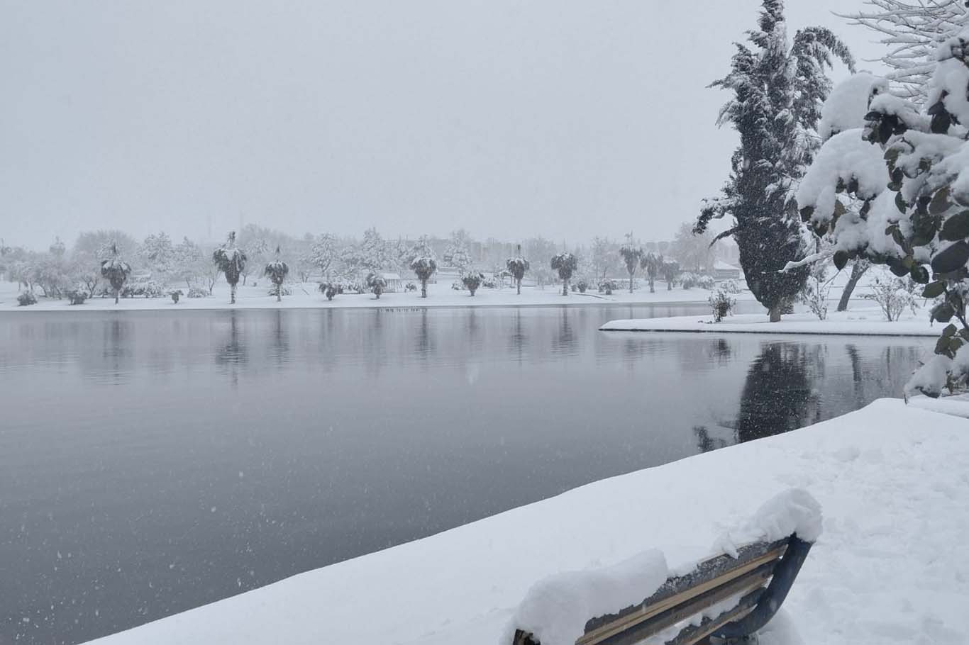 Prof. Dr.  Ali Rıza Öztürkmen: Kar yağışı sadece görsel bir güzellik değil, doğanın rehabilitasyon sürecidir