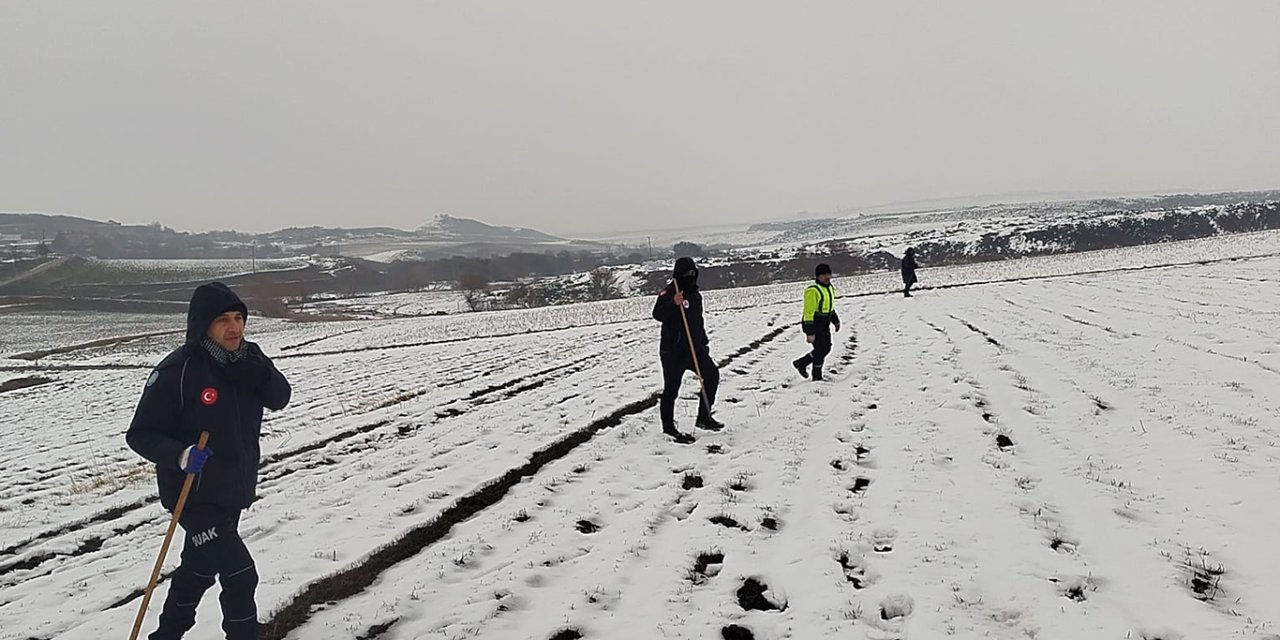 Çınar'da kaybolan kadını arama çalışmaları 7'nci gününde de devam ediyor