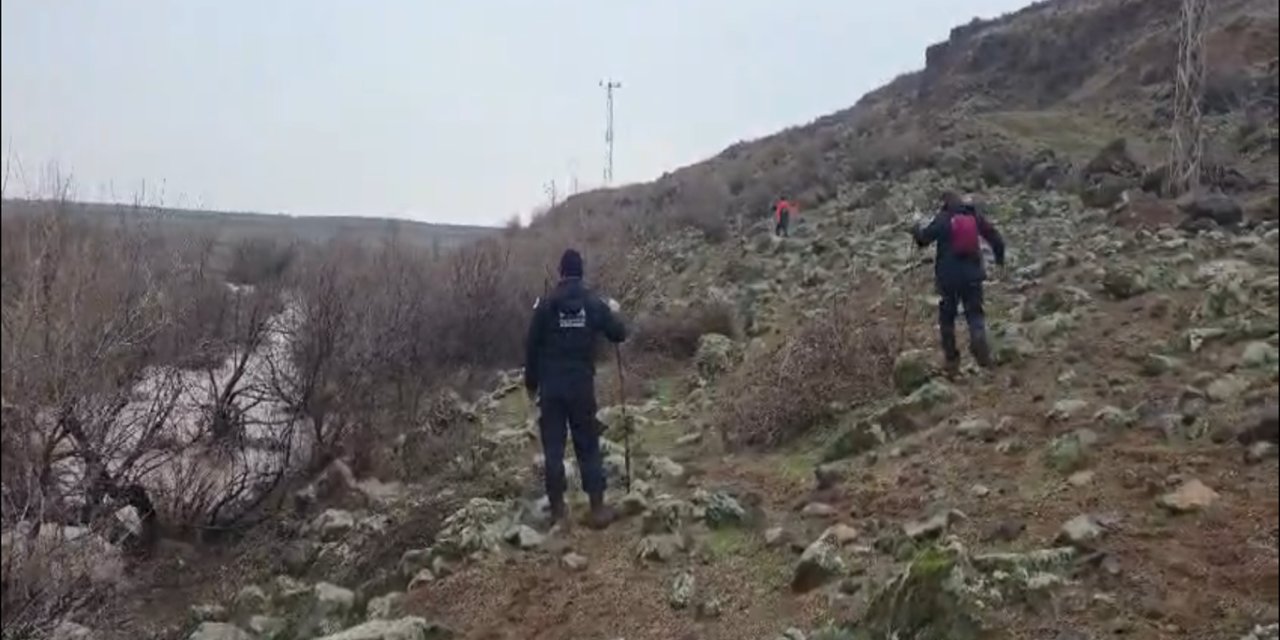 Çınar'da kayıp kadını bulmak için çalışmalar devam ediyor