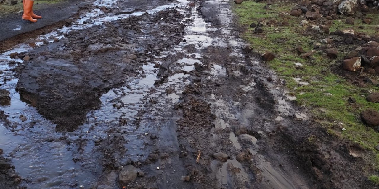 Çinar de, dewê Delavgurî de dıma şiliye halê rayan zof xırab o